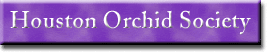 Houston Orchid Society Banner