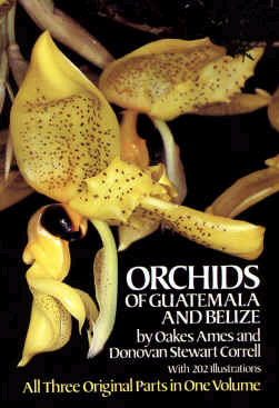 Stanhopea wardii cover illustration
